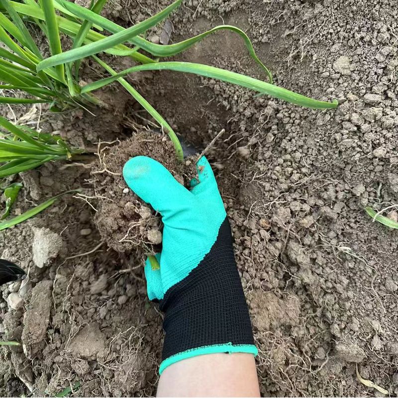 Dahili Pençeli Bahçe Eldivenle - Gardening Glove Waterproof incelemesi ve fiyatı